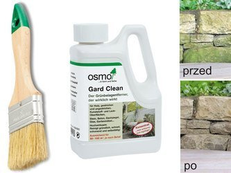 OSMO 6606 środek do usuwania zielonego nalotu mchu